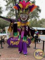 Busch Gardens Tampa Mardi Gras 12