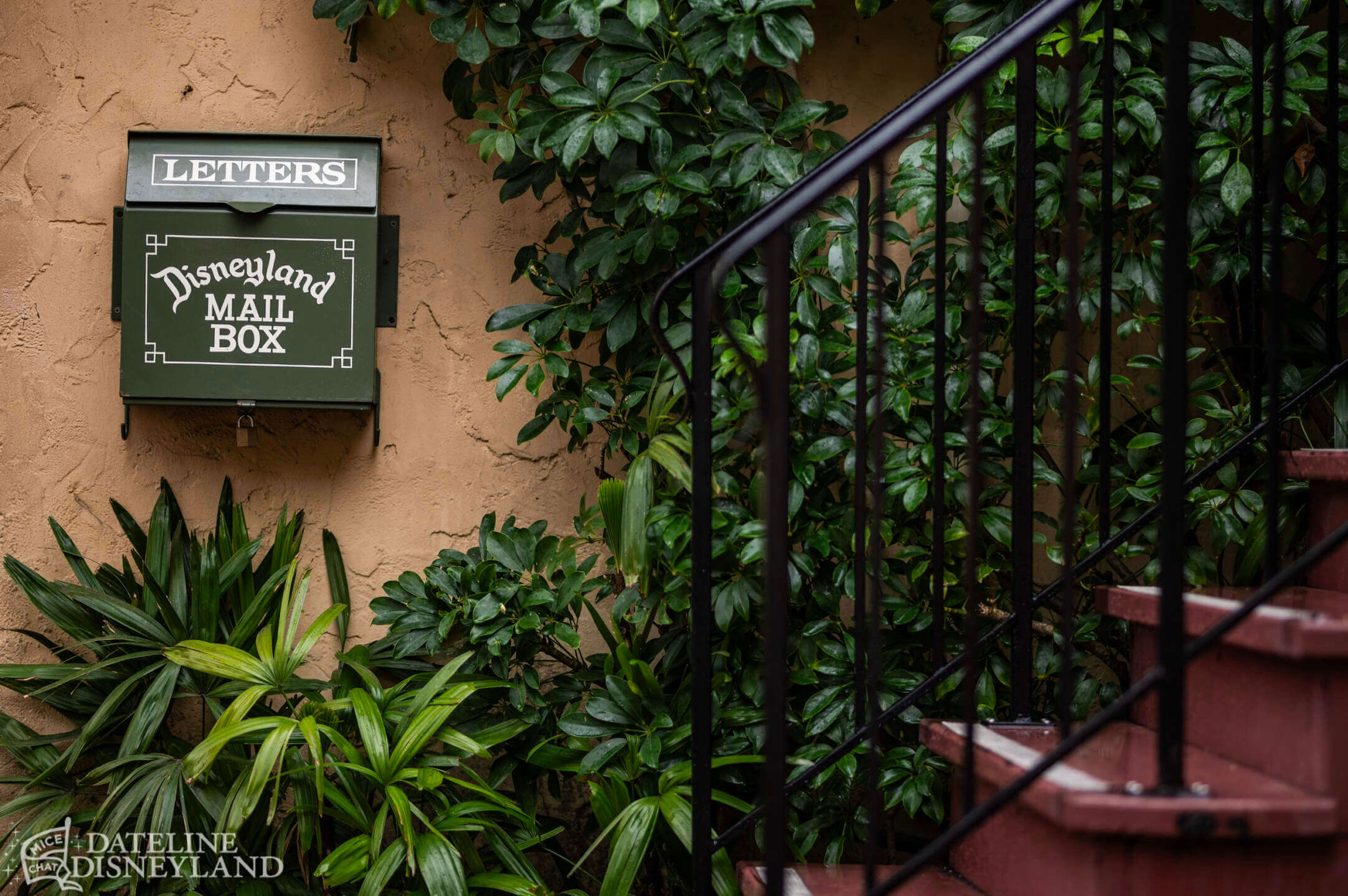 Disneyland, DISNEYLAND UPDATE: New Gates, Dragons & Haunted Mansion Closed!