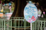 Disneyland Fantasyland in the rain Mad Hatter teacups closed DSC_1796-X5