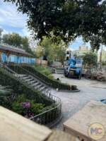 Disneyland Haunted Mansion Gardens Demolition 3 MiceChat