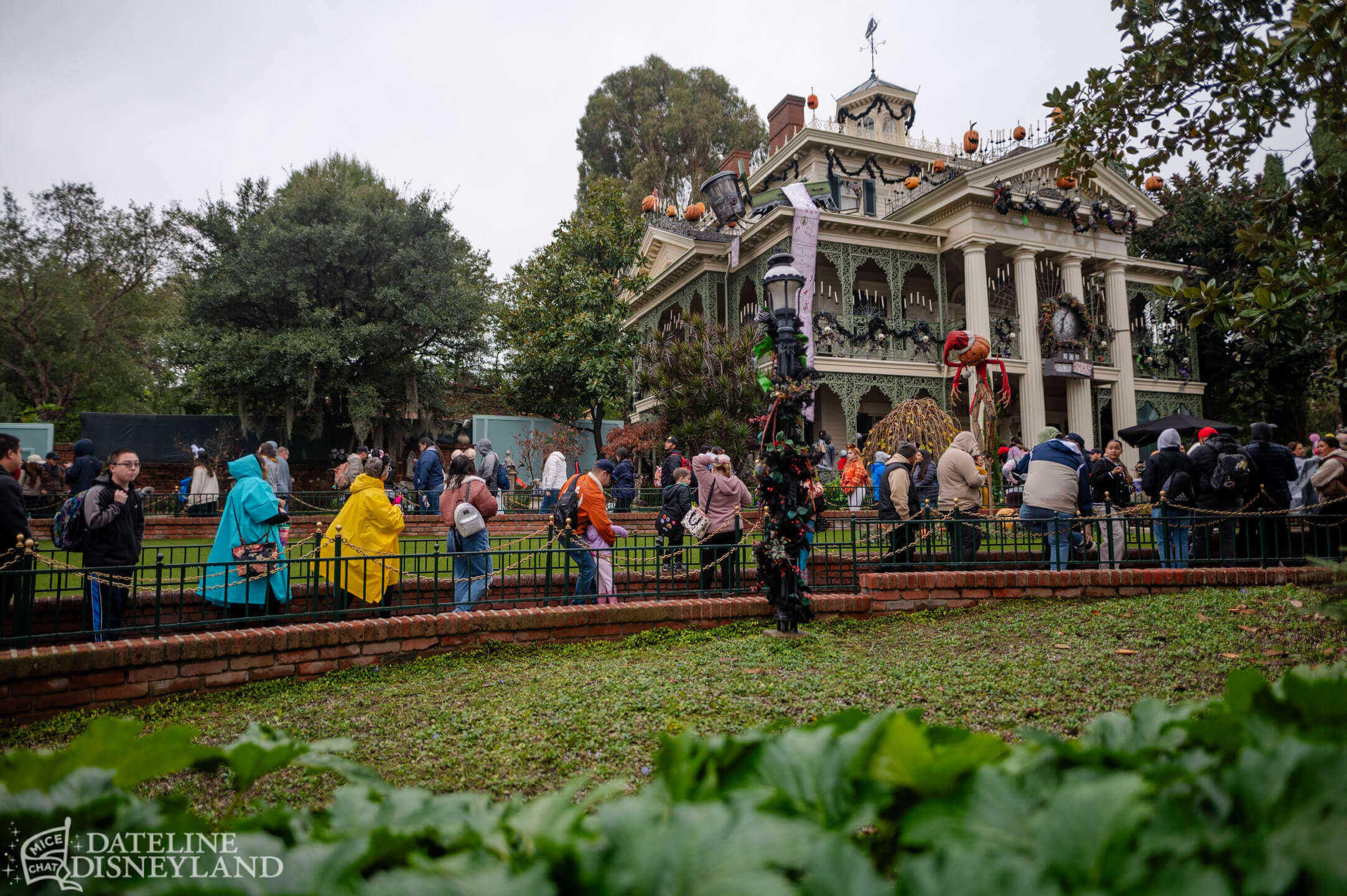 Disneyland, DISNEYLAND UPDATE: New Gates, Dragons & Haunted Mansion Closed!