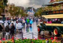 DISNEYLAND UPDATE: New Gates, Dragons & Haunted Mansion Closed!