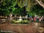 Disneyland News Beauty Magnolia Gardens 1 MiceChat