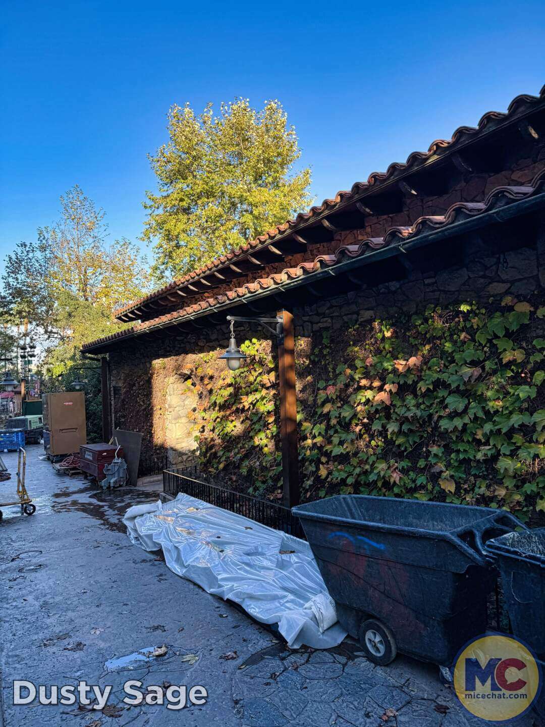 , Disneyland Update: The Great Goodbye, Lightning Lame & Constant Construction
