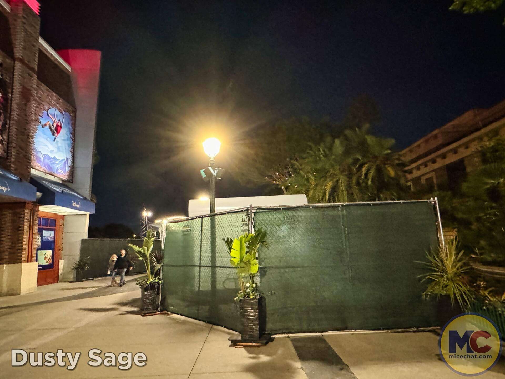 , Disneyland Update: The Great Goodbye, Lightning Lame & Constant Construction
