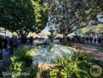 Disneyland News beauty magnolia gardens 3 MiceChat