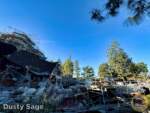 Disneyland News construction tianas bayou adventure overview MiceChat