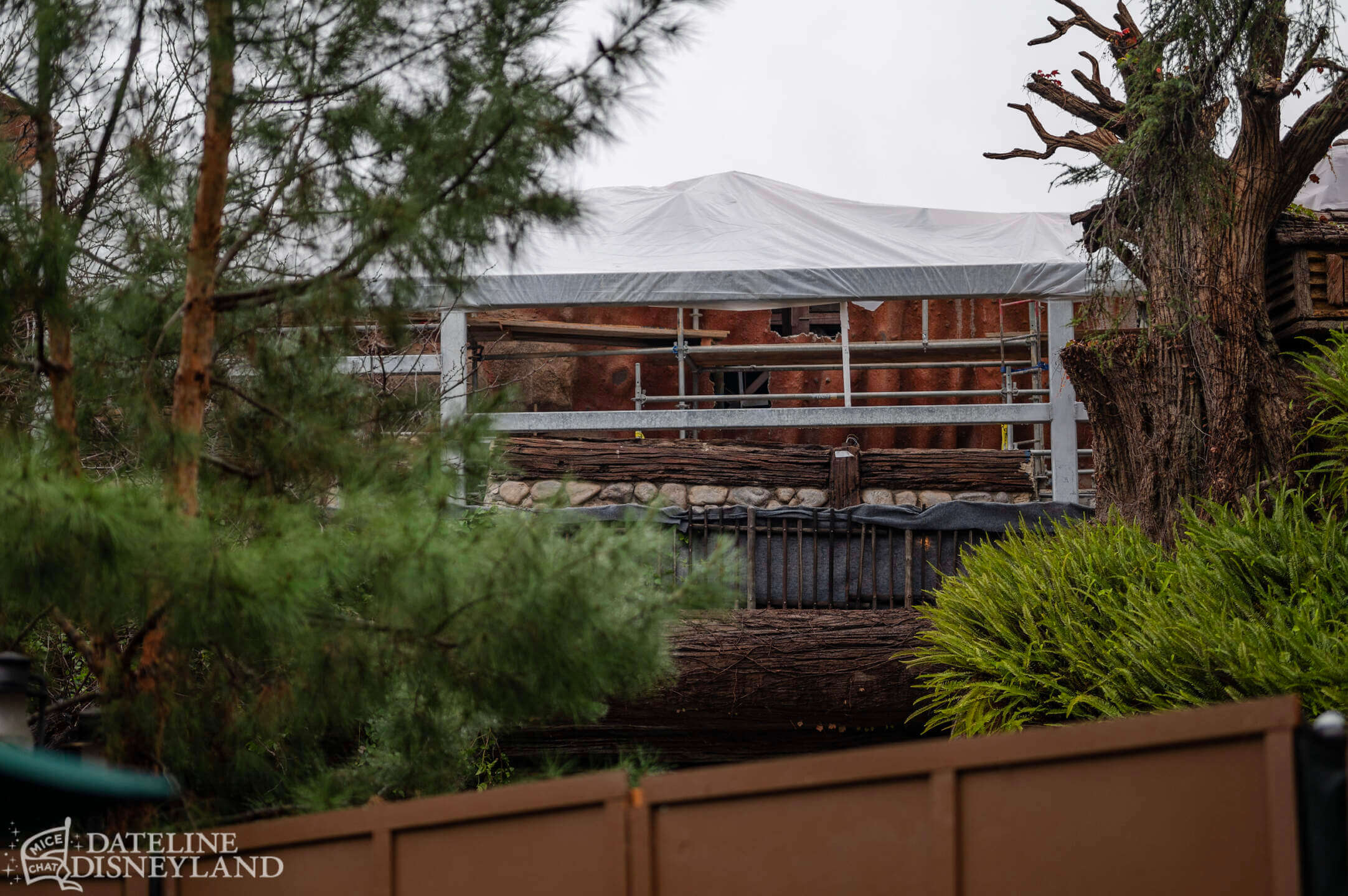Disneyland, DISNEYLAND UPDATE: New Gates, Dragons & Haunted Mansion Closed!