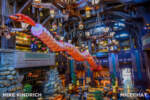 Mike Kindrich_Grand Californian_Lunar New Year_Year of the Dragon_Dragon (1 of 1)-2