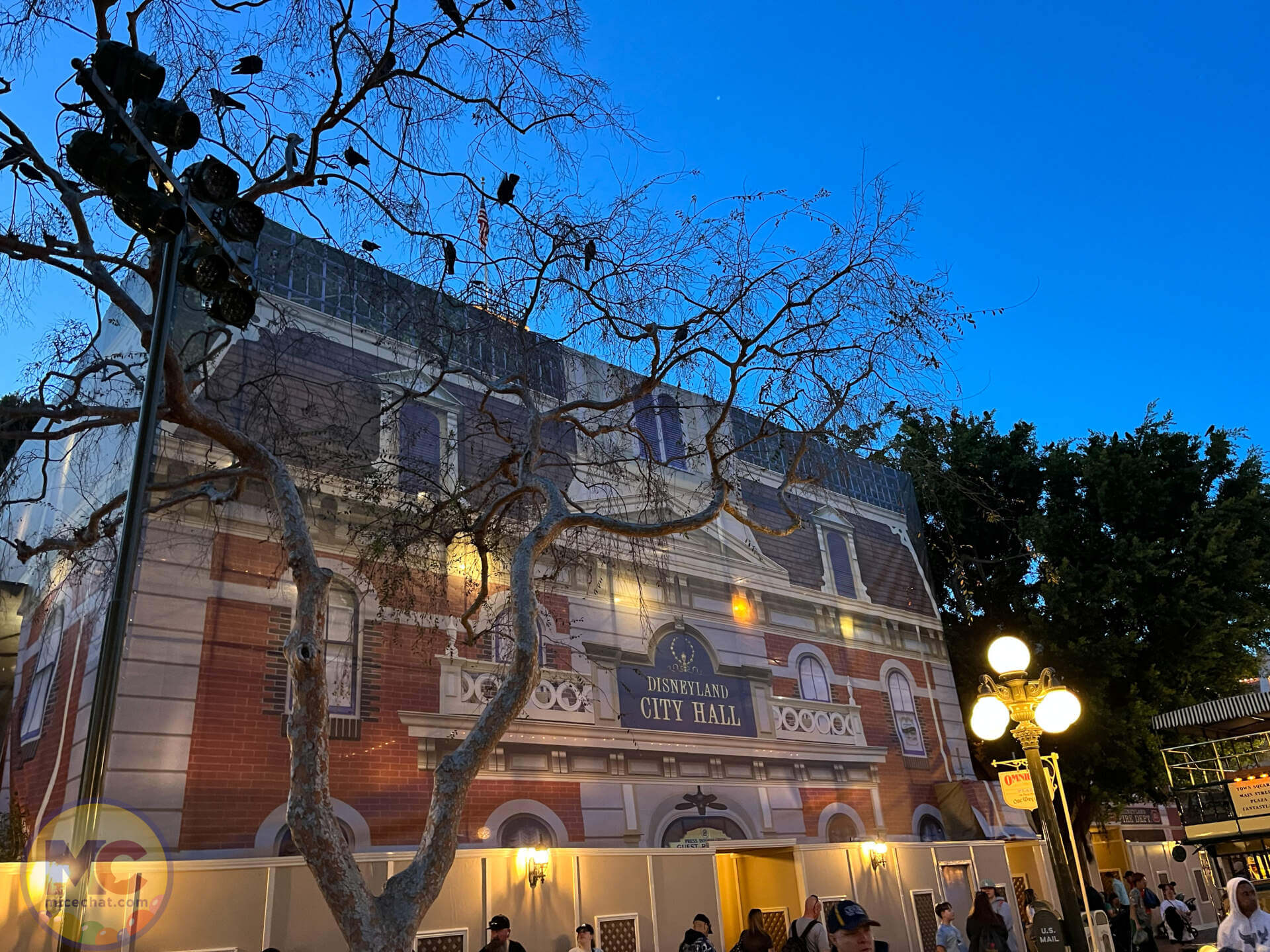 , DISNEYLAND UPDATE: Haunted Mansion Shocker, New Celebrations & Massive Construction!