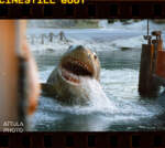 015_Universal_Studios_Hollywood_CineStill_800T_Backlot_Tour_Amity Island Jaws