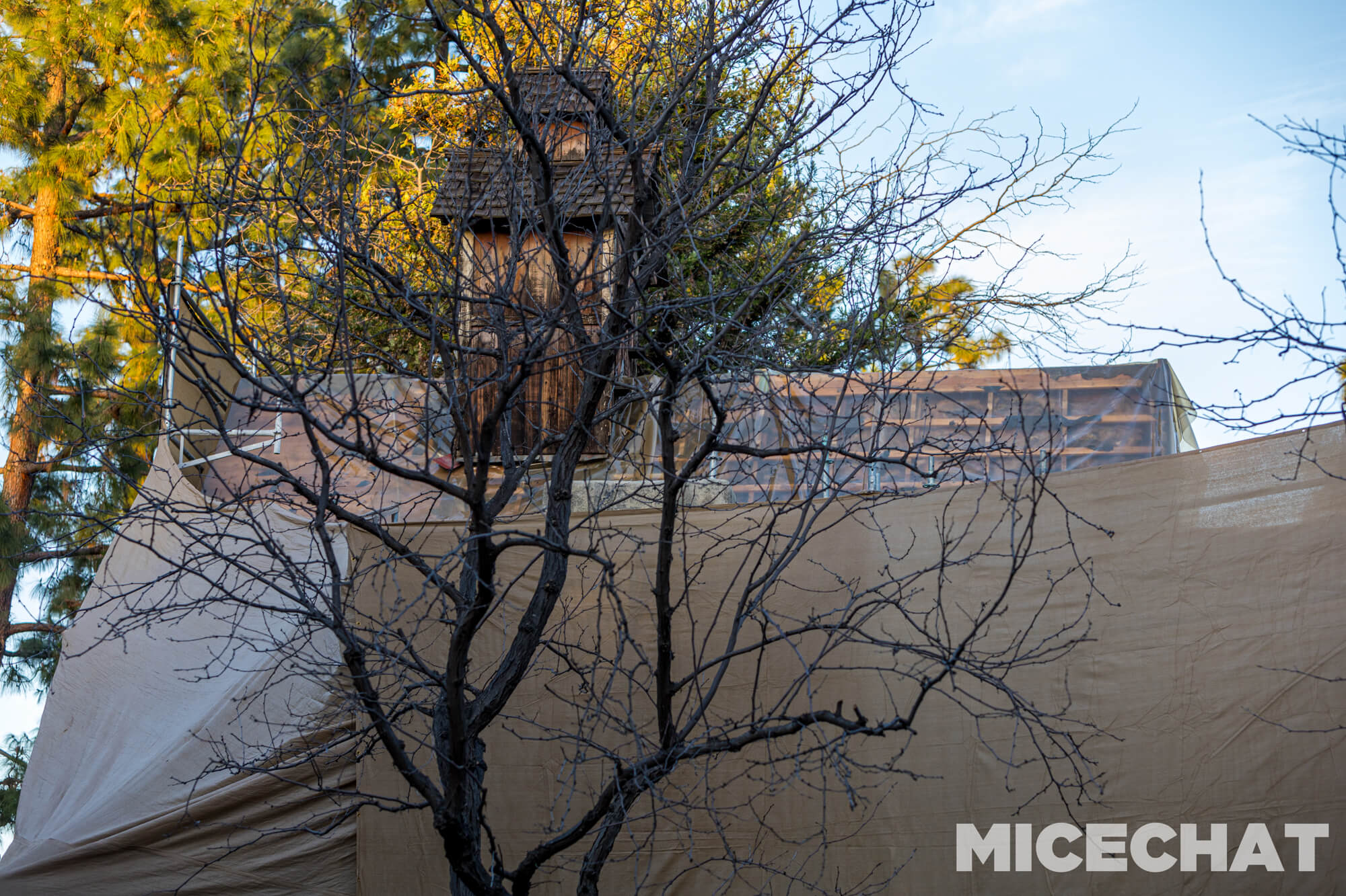 , DISNEYLAND UPDATE: Inching Forward, Spring Surprises & Continuing Construction