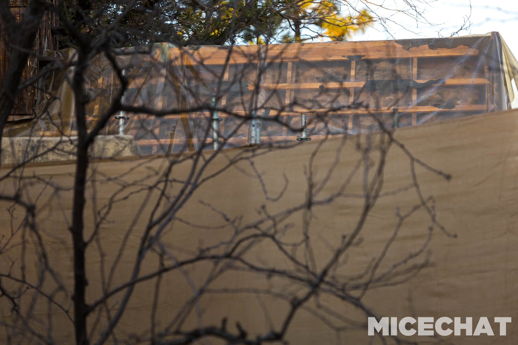 , DISNEYLAND UPDATE: Inching Forward, Spring Surprises & Continuing Construction