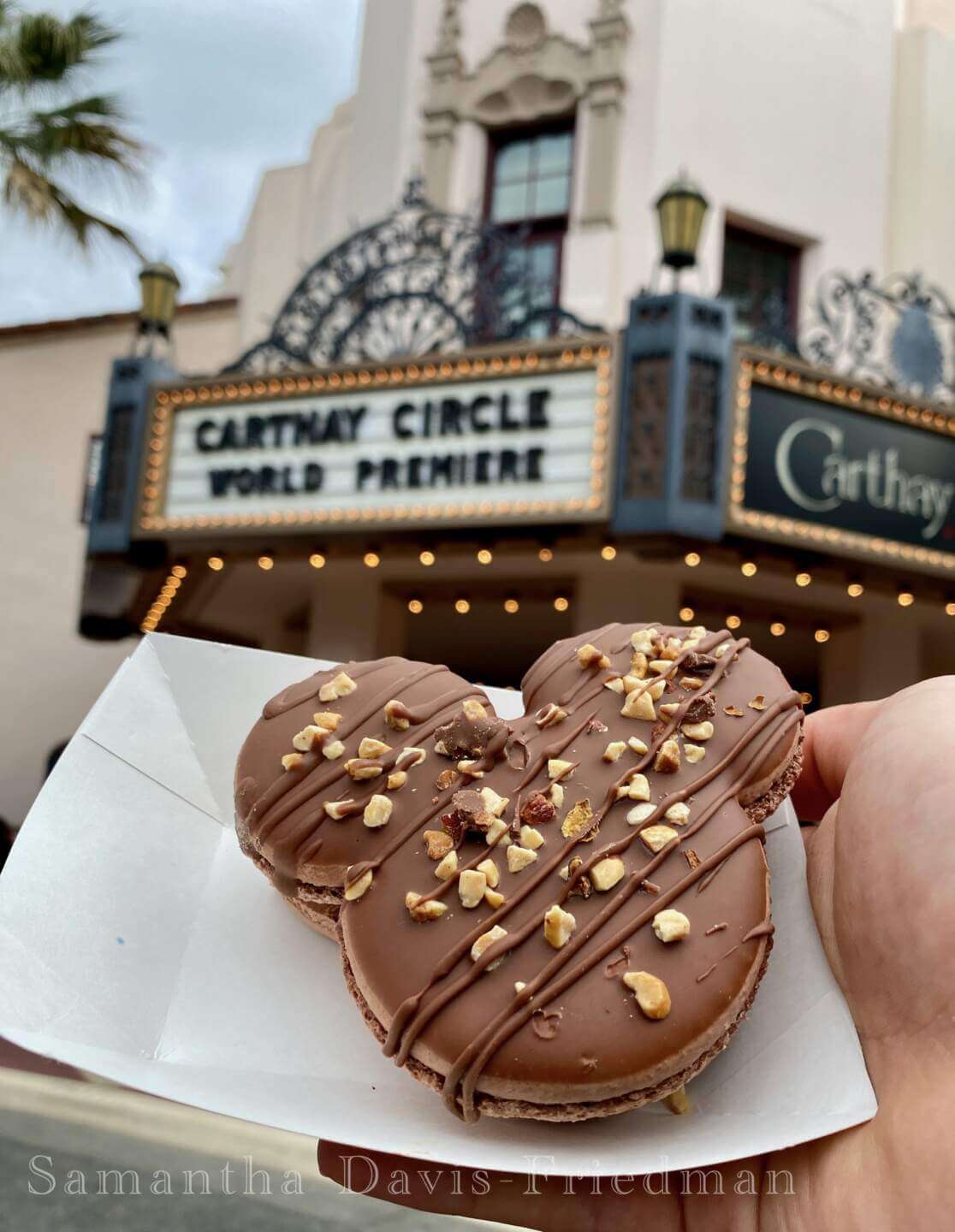 Disneyland, DISNEYLAND UPDATE: Entertainment Gaps, Construction Reveals & Big Changes Ahead