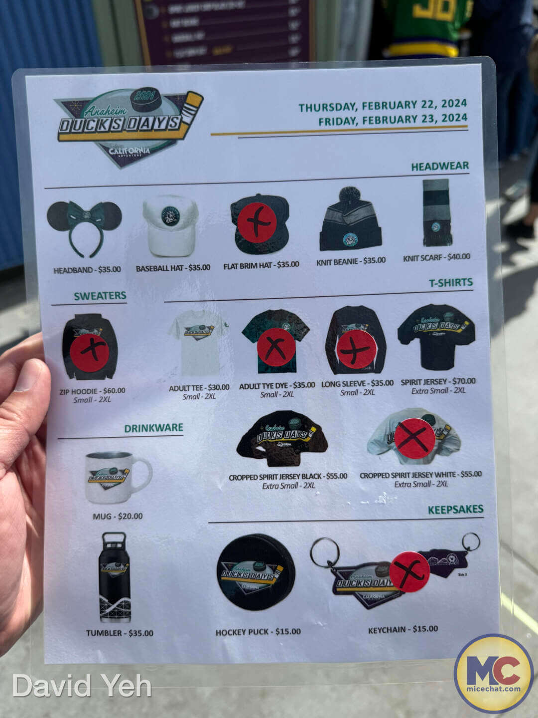 , DISNEYLAND UPDATE: Inching Forward, Spring Surprises & Continuing Construction