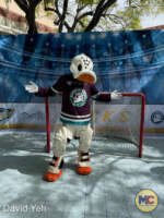 Disney California Adventure-Anaheim Ducks Days 2024-character meet and greet
