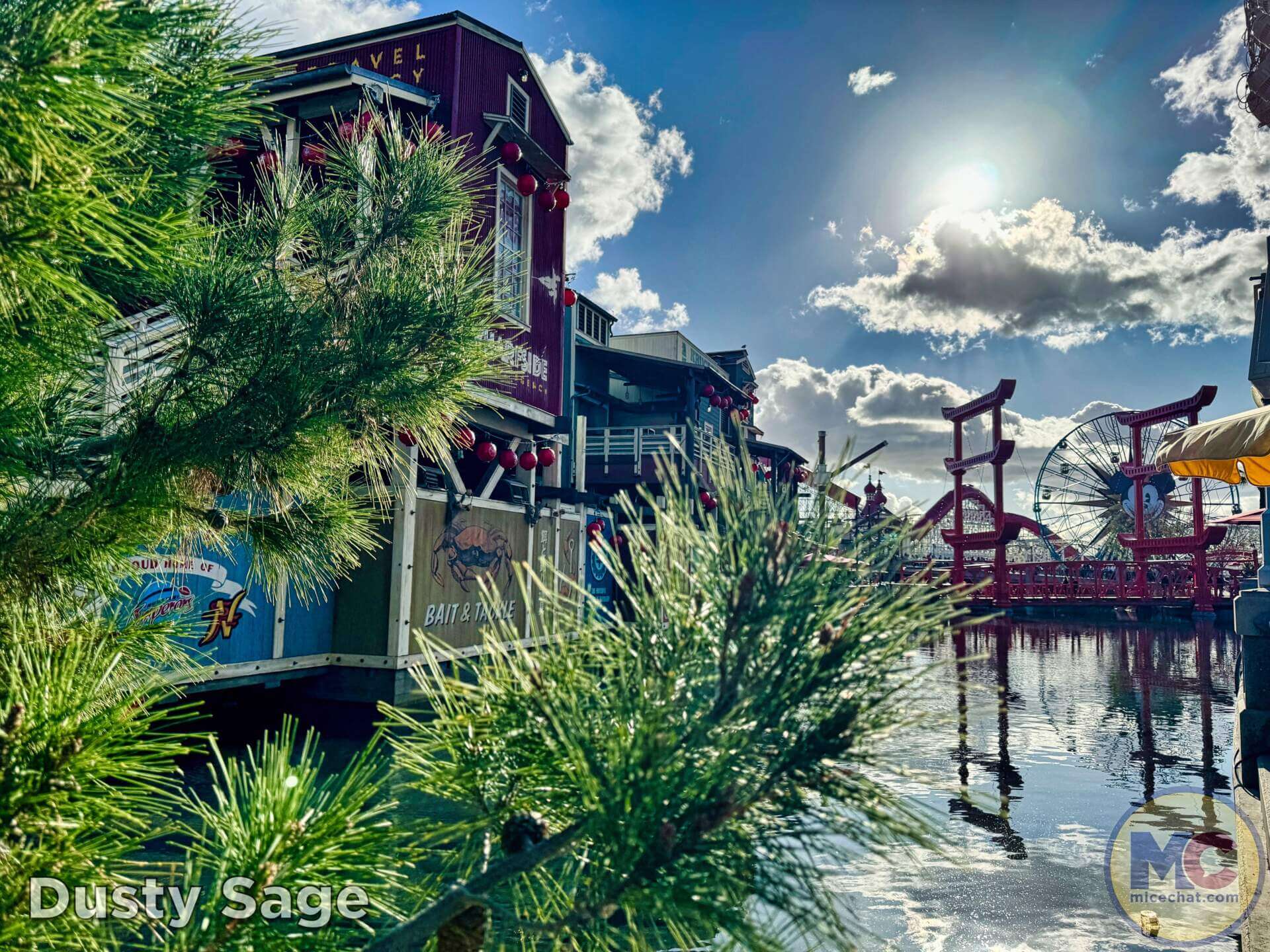 , DISNEYLAND UPDATE: Celebrations, Super Bowl Surprise & Blue Skies