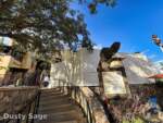 Disneyland Construction DCA DVC 8 MiceChat