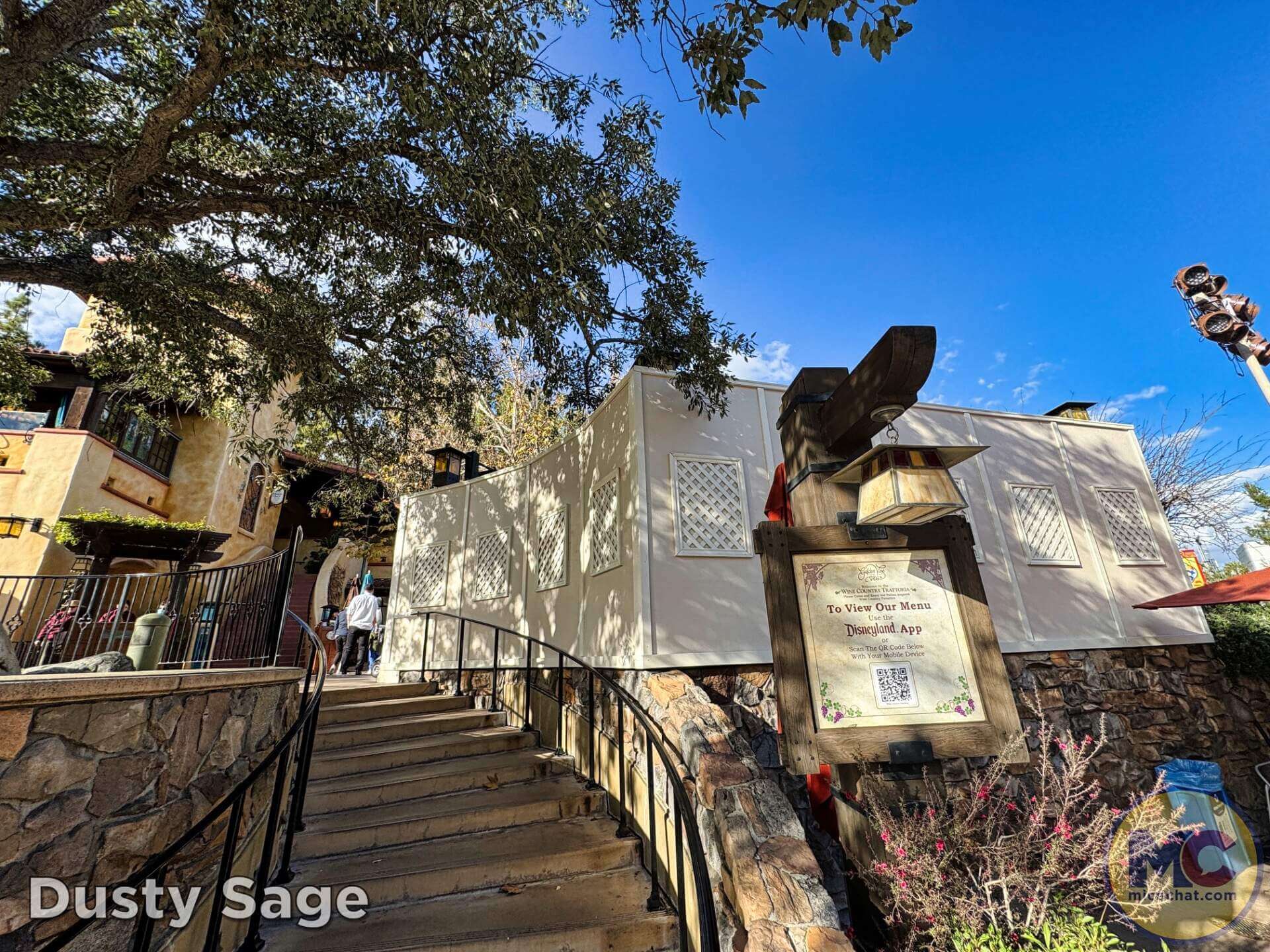 , DISNEYLAND UPDATE: Celebrations, Super Bowl Surprise & Blue Skies