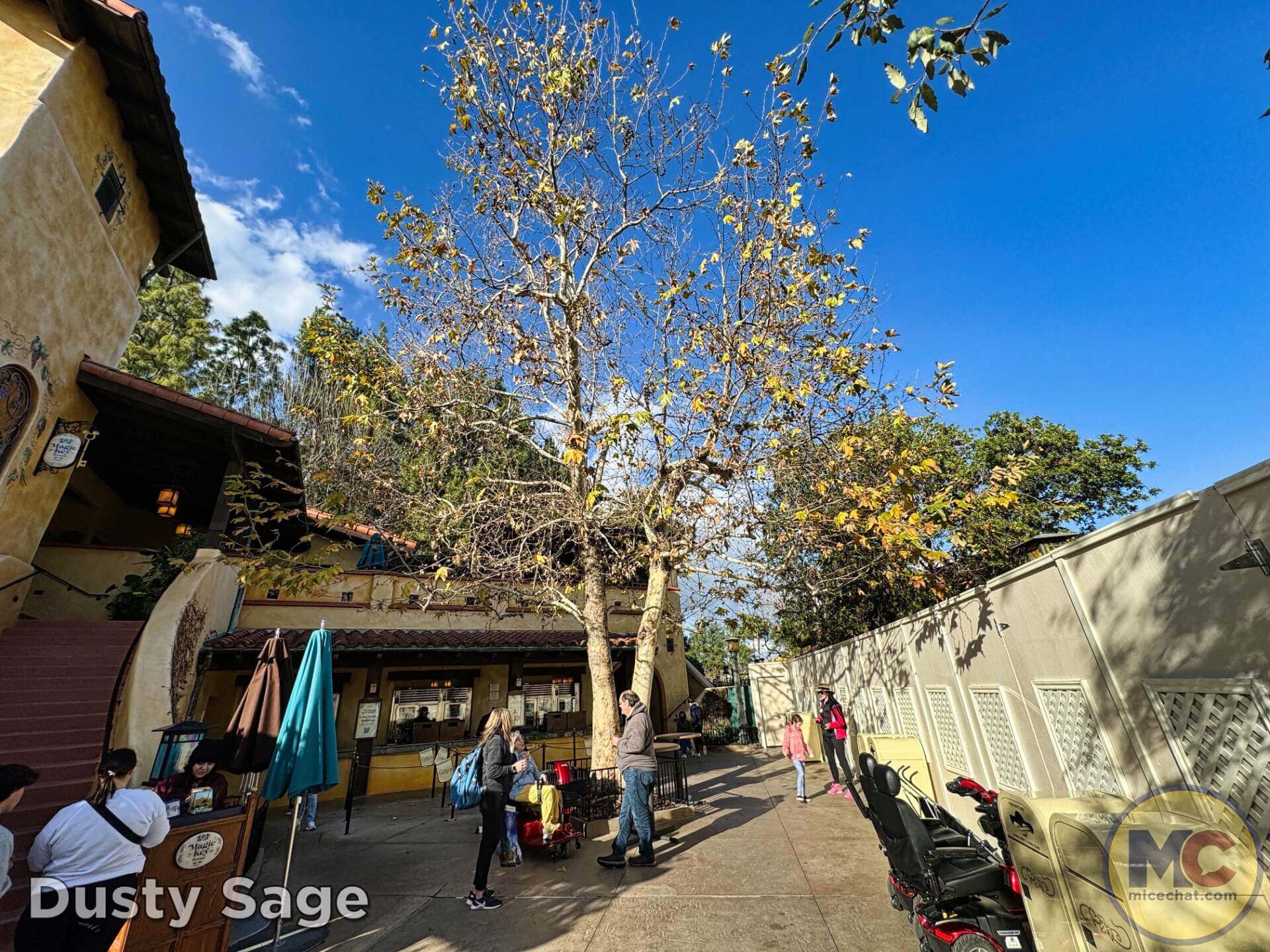 , DISNEYLAND UPDATE: Celebrations, Super Bowl Surprise & Blue Skies