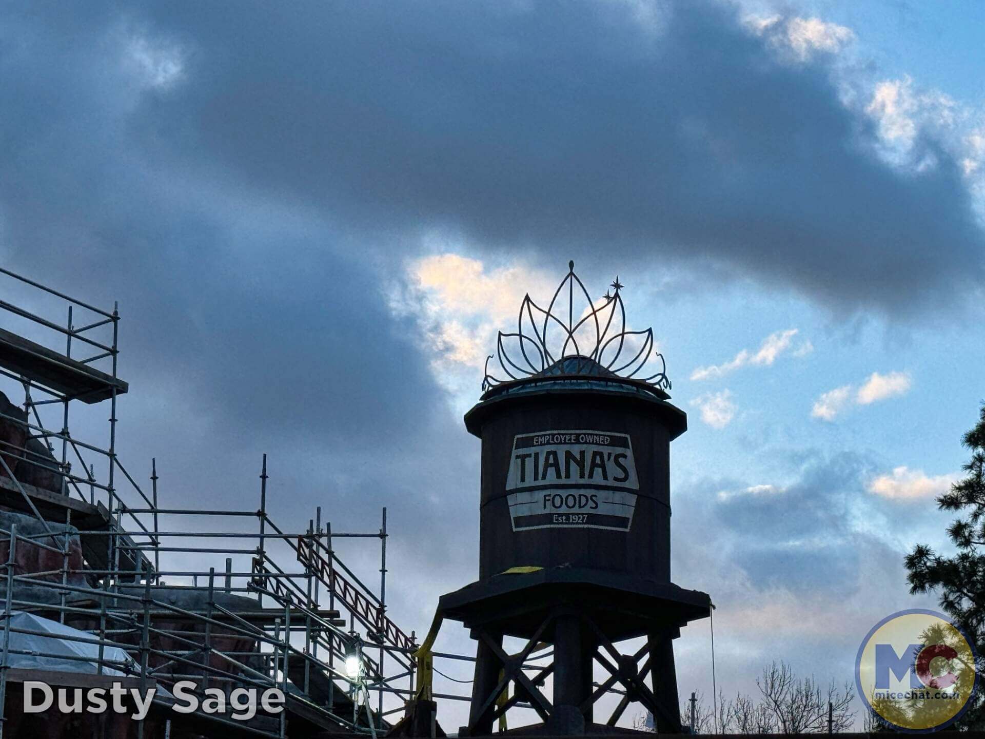 , DISNEYLAND UPDATE: Celebrations, Super Bowl Surprise & Blue Skies