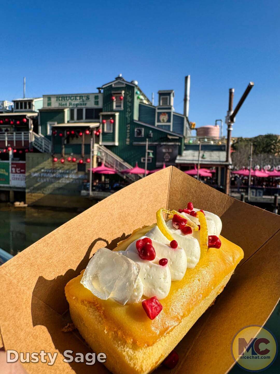 , DISNEYLAND UPDATE: Balancing Magic with Reality – Spring Surprises & Disappointments