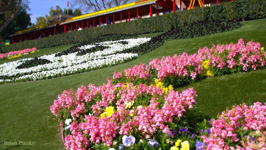 , DISNEYLAND UPDATE: Performers Unite, After Dark Alert & Icon Exit!