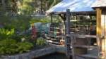 Disneyland Update_Grizzly River Run_Lifehill gate