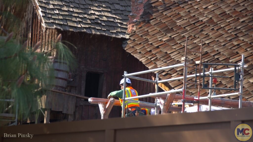 , DISNEYLAND UPDATE: Performers Unite, After Dark Alert & Icon Exit!