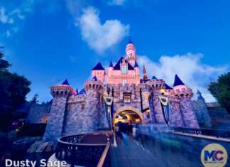 DISNEYLAND UPDATE: Celebrations, Super Bowl Surprise & Blue Skies