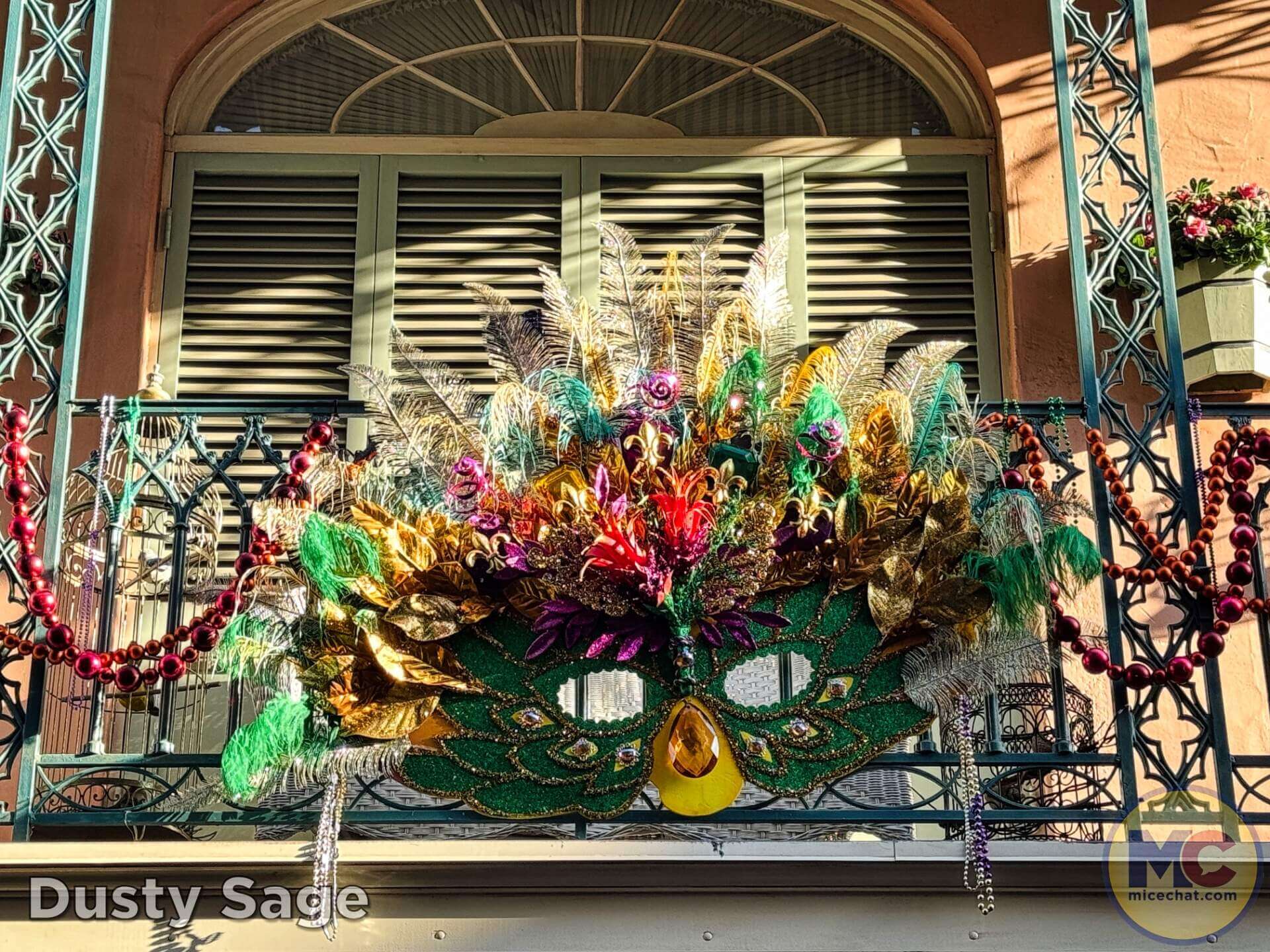 , DISNEYLAND UPDATE: Celebrations, Super Bowl Surprise & Blue Skies