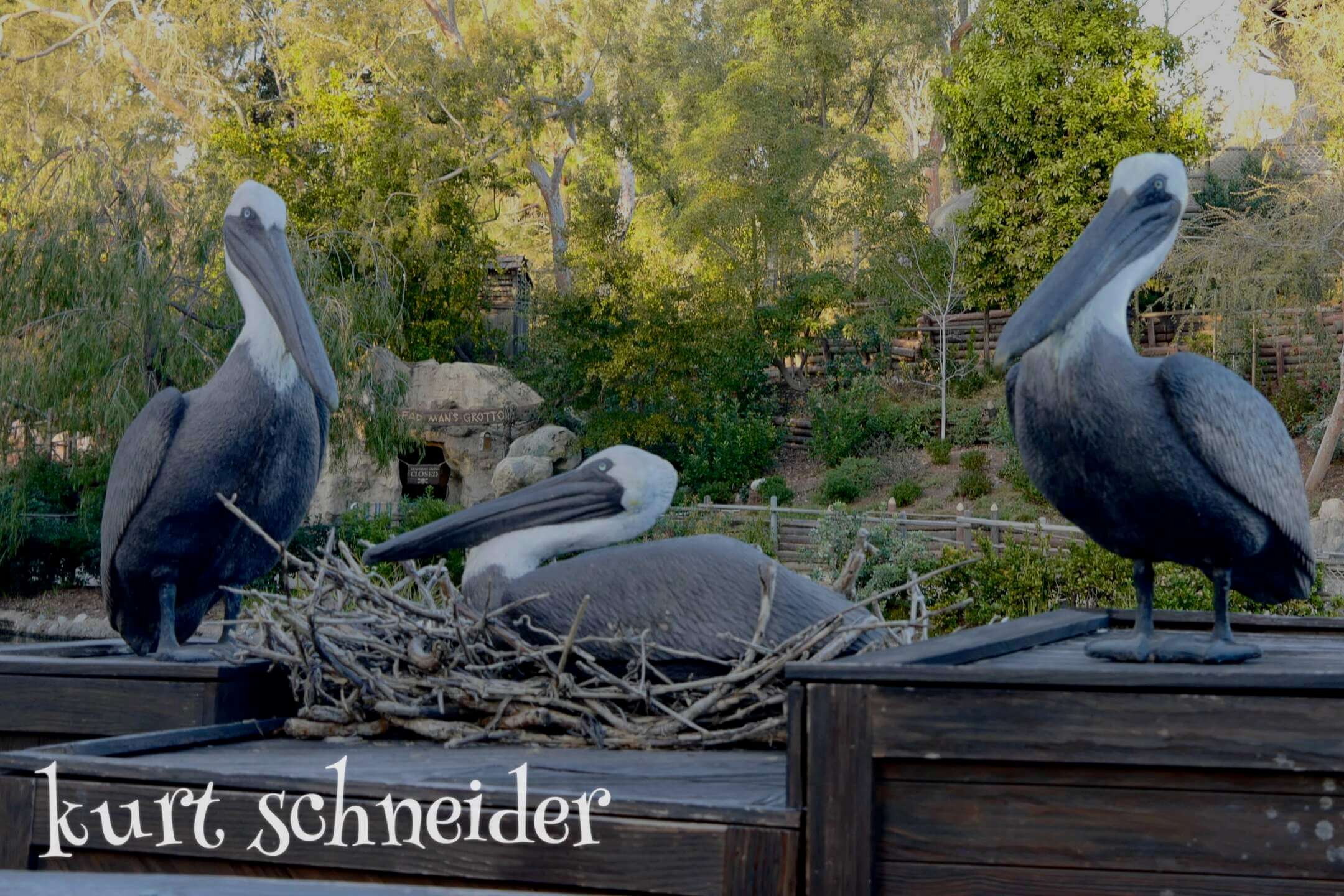 , DISNEYLAND UPDATE: Inching Forward, Spring Surprises & Continuing Construction