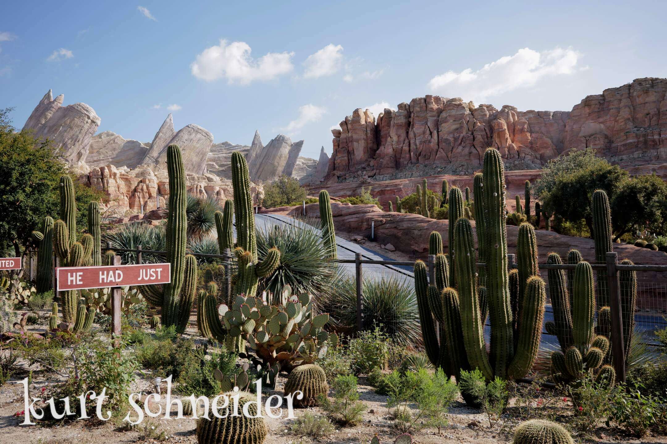 , DISNEYLAND UPDATE: Inching Forward, Spring Surprises & Continuing Construction