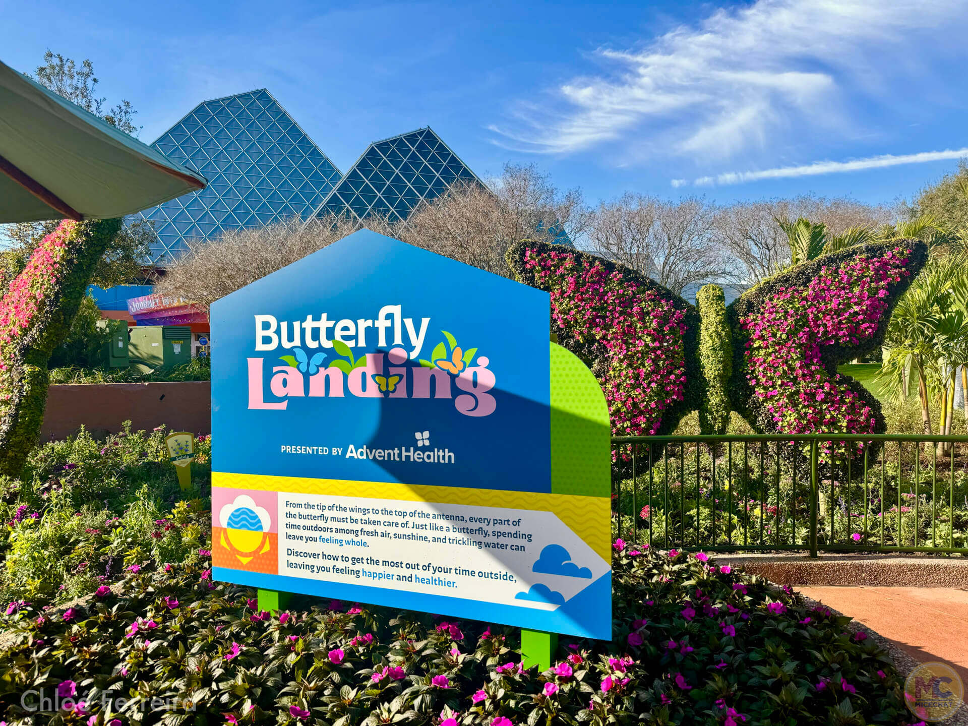Epcot Flower & Garden, Now Blooming: EPCOT International Flower & Garden Festival 2025