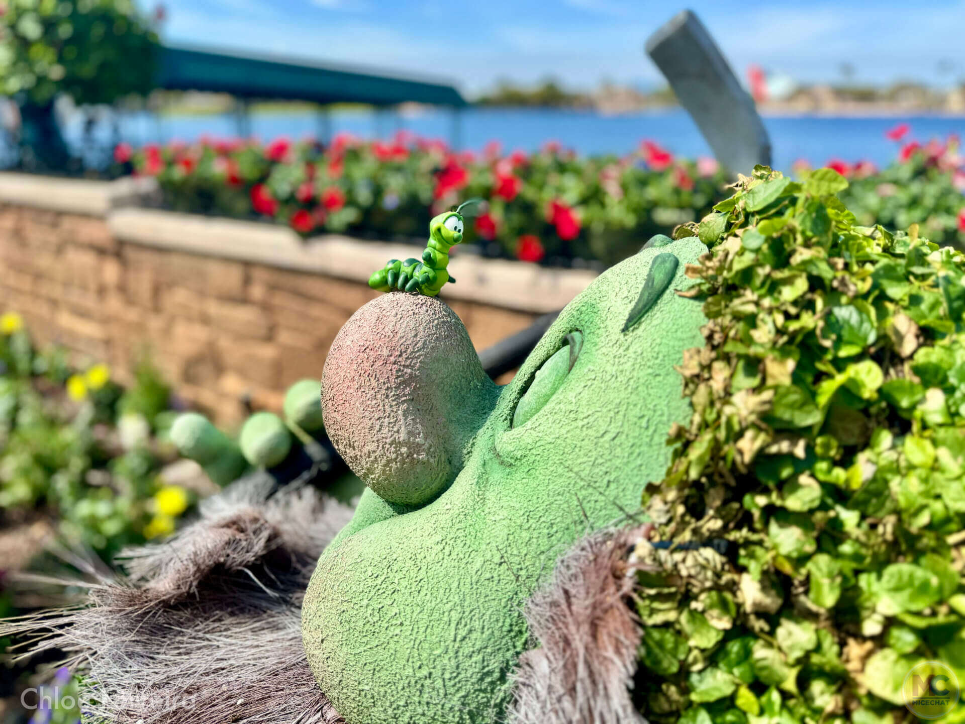 Epcot Flower & Garden, Now Blooming: EPCOT International Flower & Garden Festival 2025