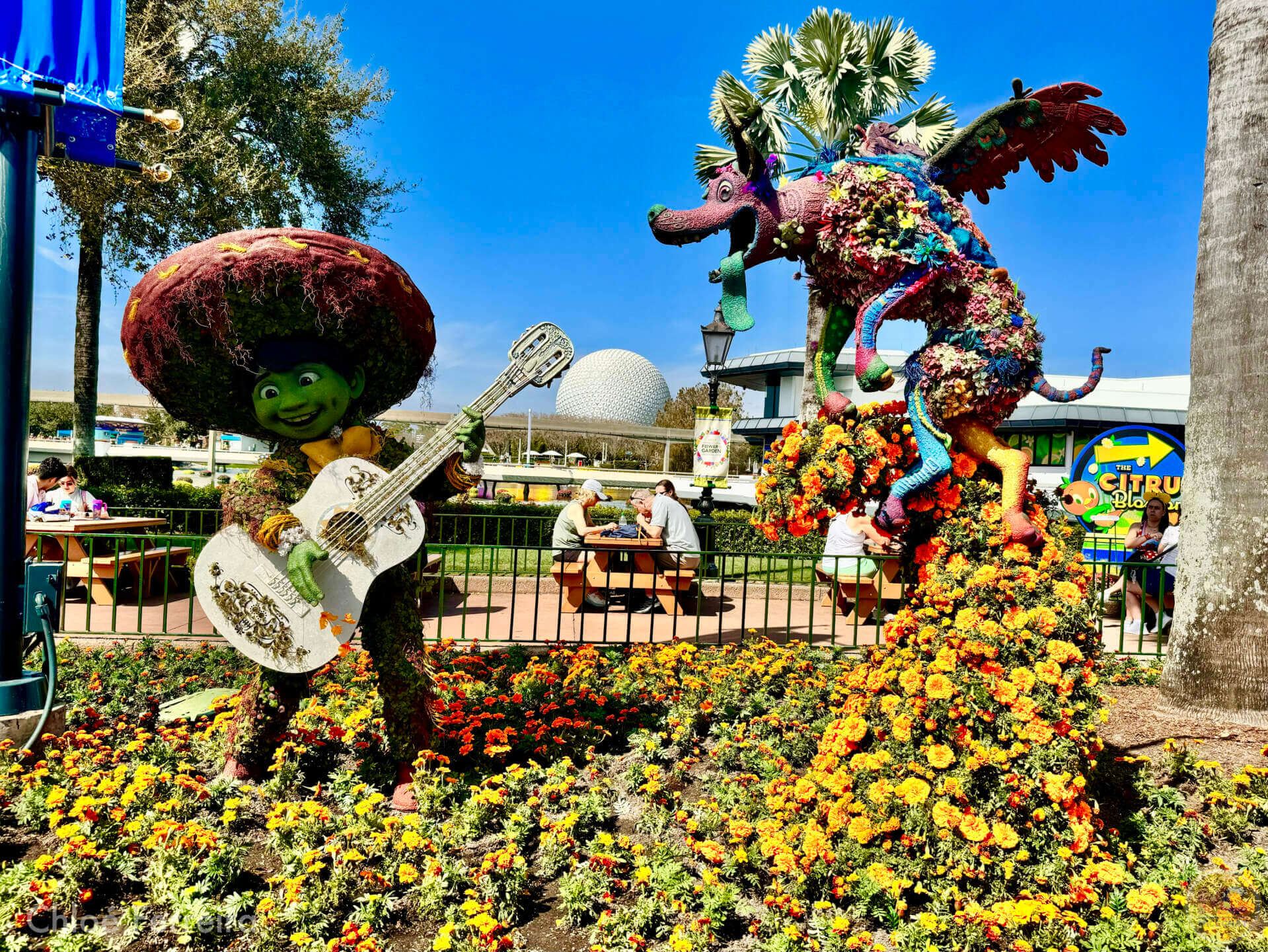 Epcot Flower & Garden, Now Blooming: EPCOT International Flower &#038; Garden Festival 2024