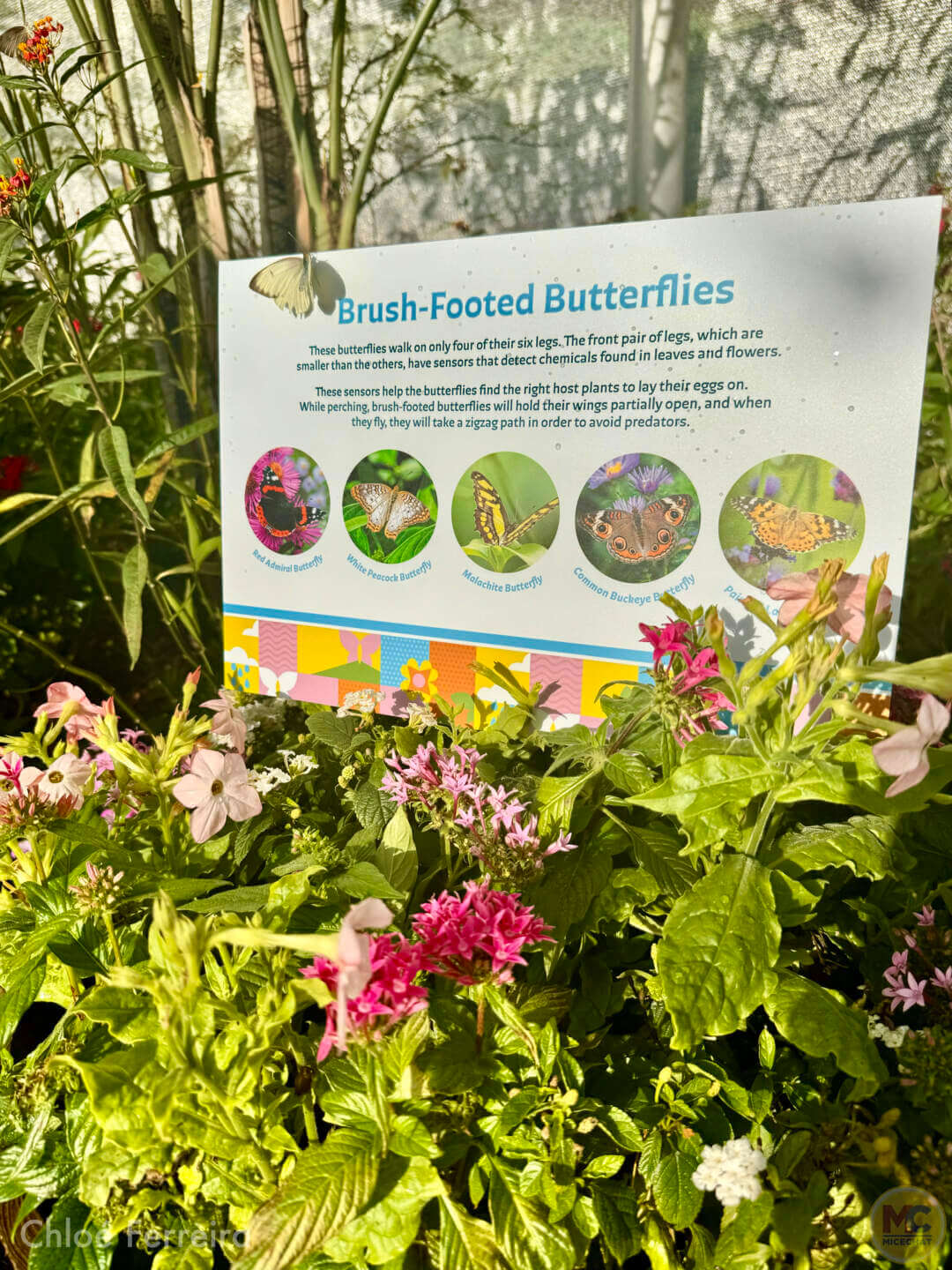 Epcot Flower & Garden, Now Blooming: EPCOT International Flower & Garden Festival 2025