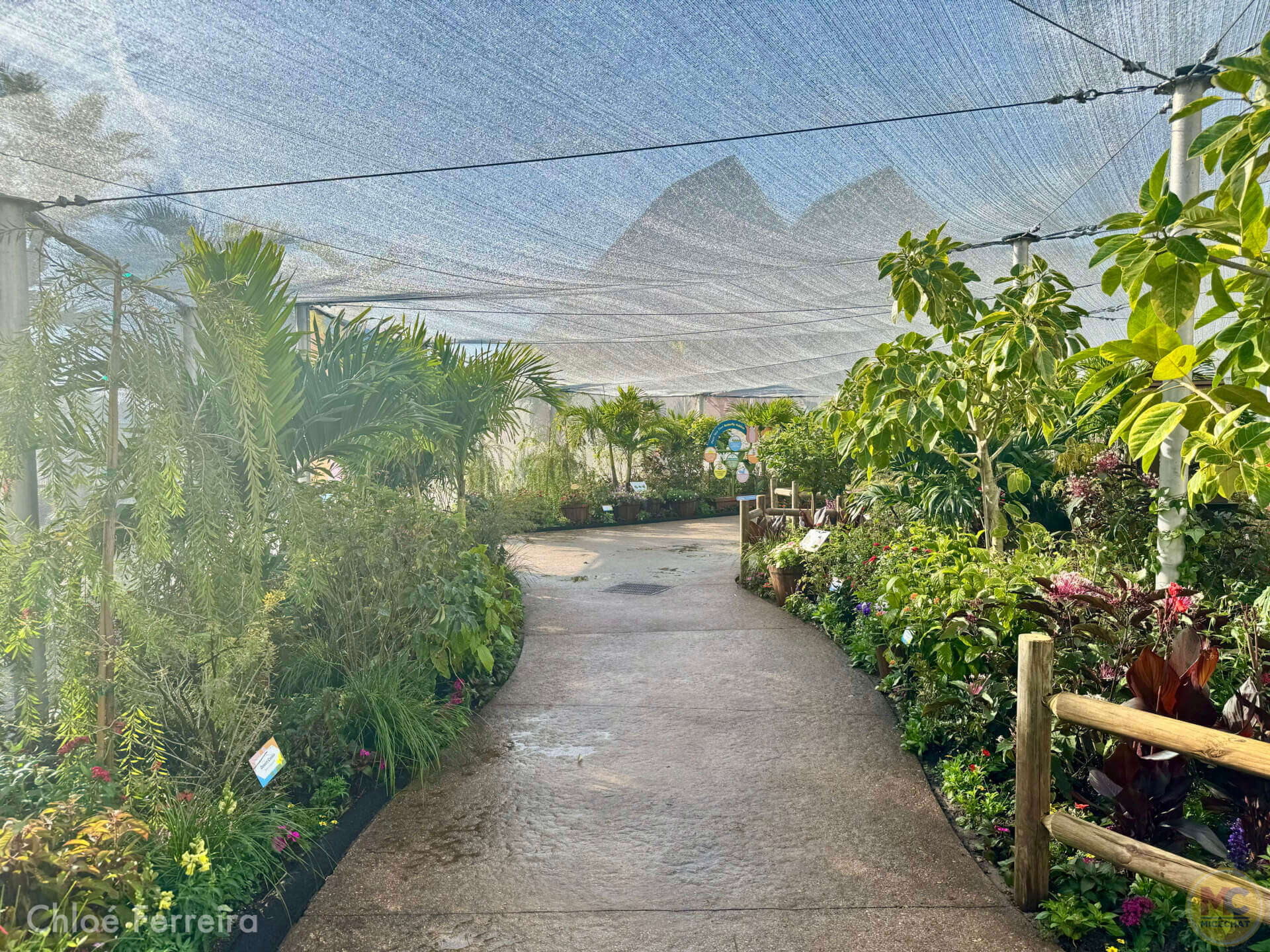 Epcot Flower & Garden, Now Blooming: EPCOT International Flower & Garden Festival 2025