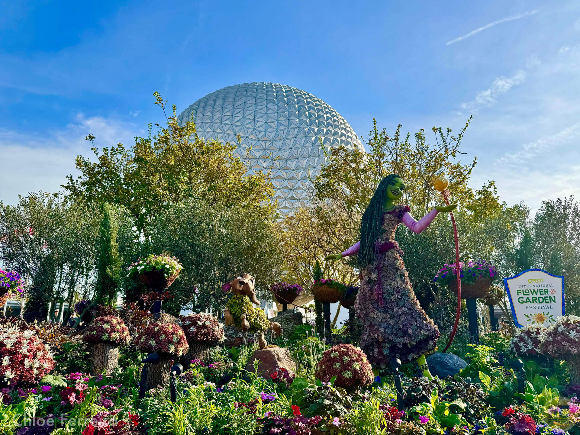 Epcot Flower & Garden, Now Blooming: EPCOT International Flower & Garden Festival 2025
