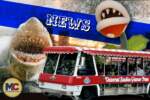 Universal Studios Hollywood News Glamor Trams