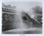 Universal Studios Hollywood Studio Tour – Jaws Lake