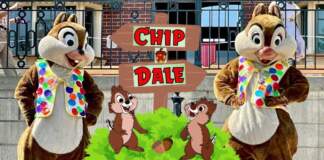 Chip ‘n’ Dale