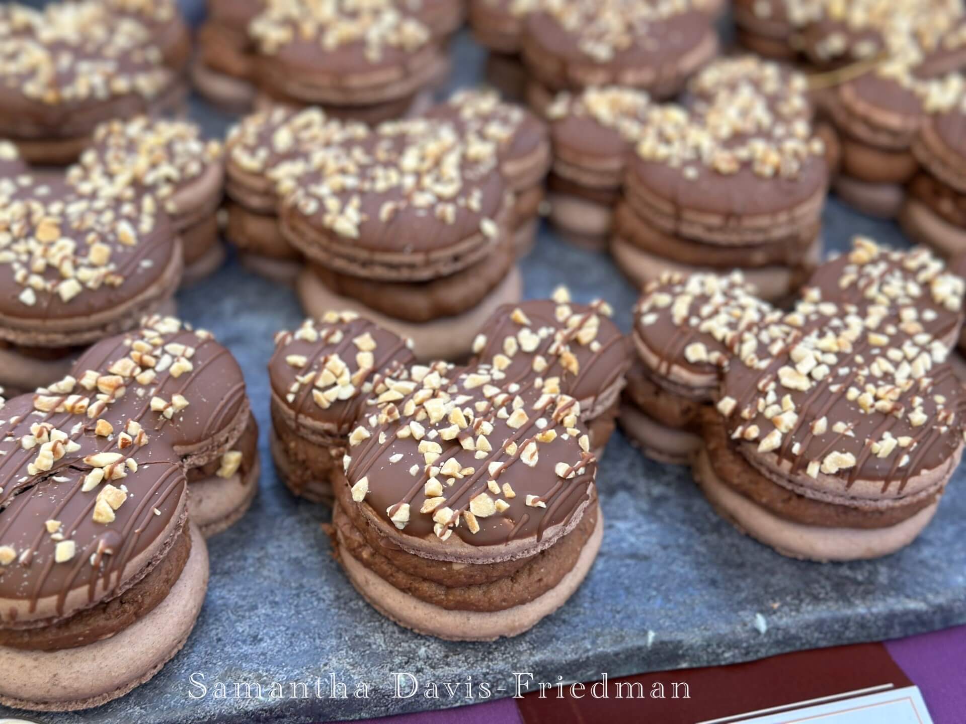 , DISNEYLAND UPDATE: Festival Bites, Soarin’ Flights & Crowds in Sight!