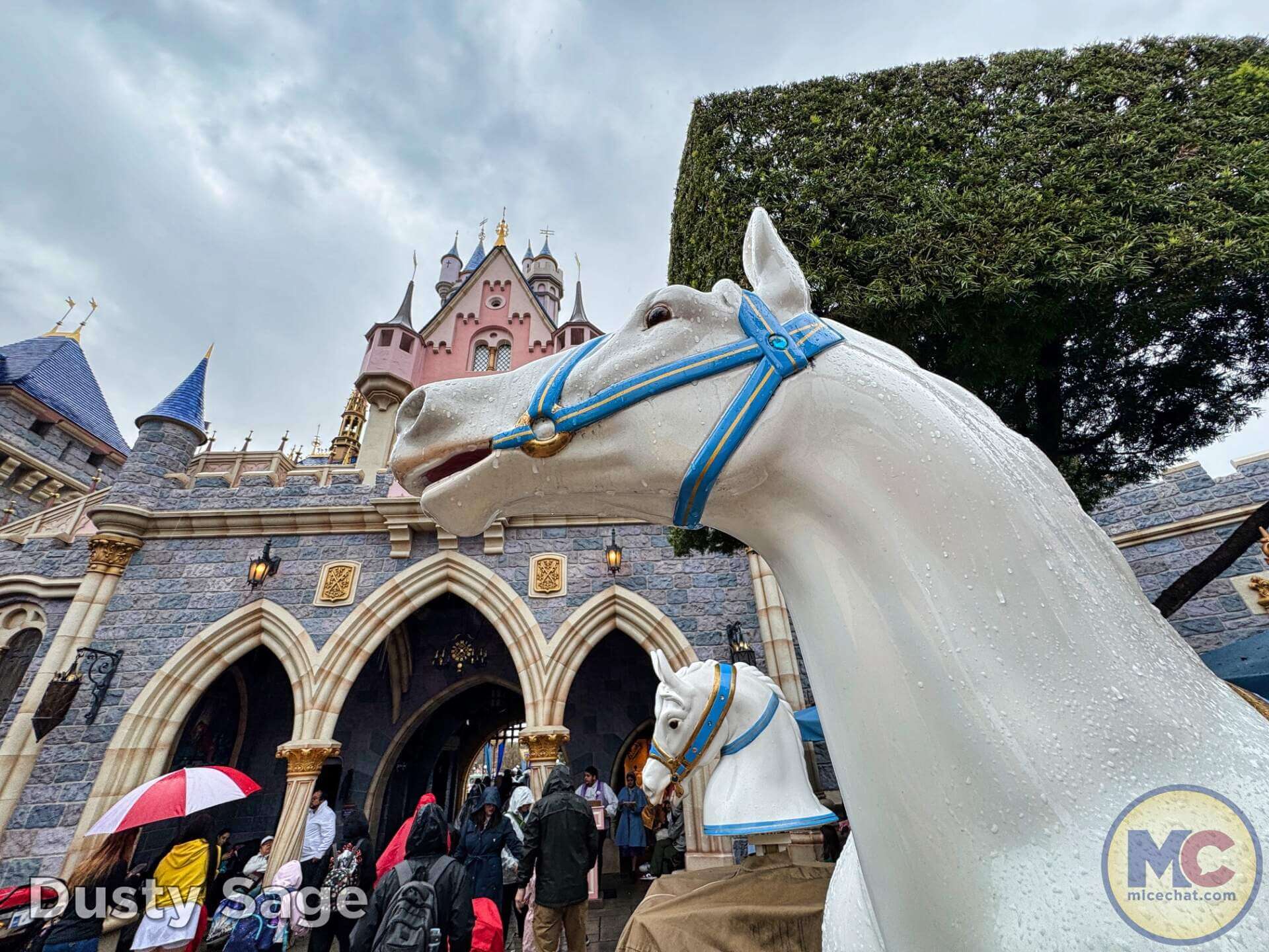 , DISNEYLAND UPDATE: Imagineering Reimagined, Avatar Anticipations & Magic Key Mysteries!