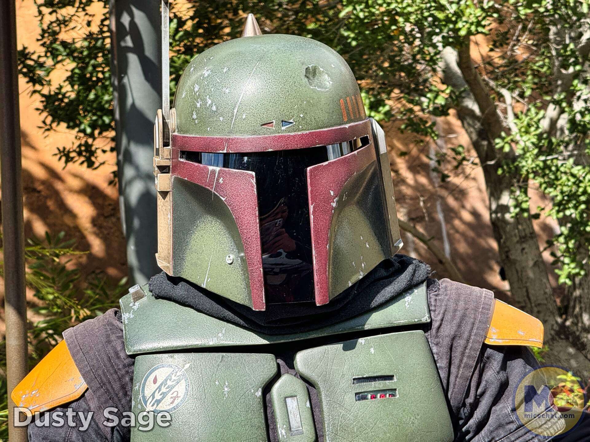 , DISNEYLAND UPDATE: Balancing Magic with Reality – Spring Surprises & Disappointments