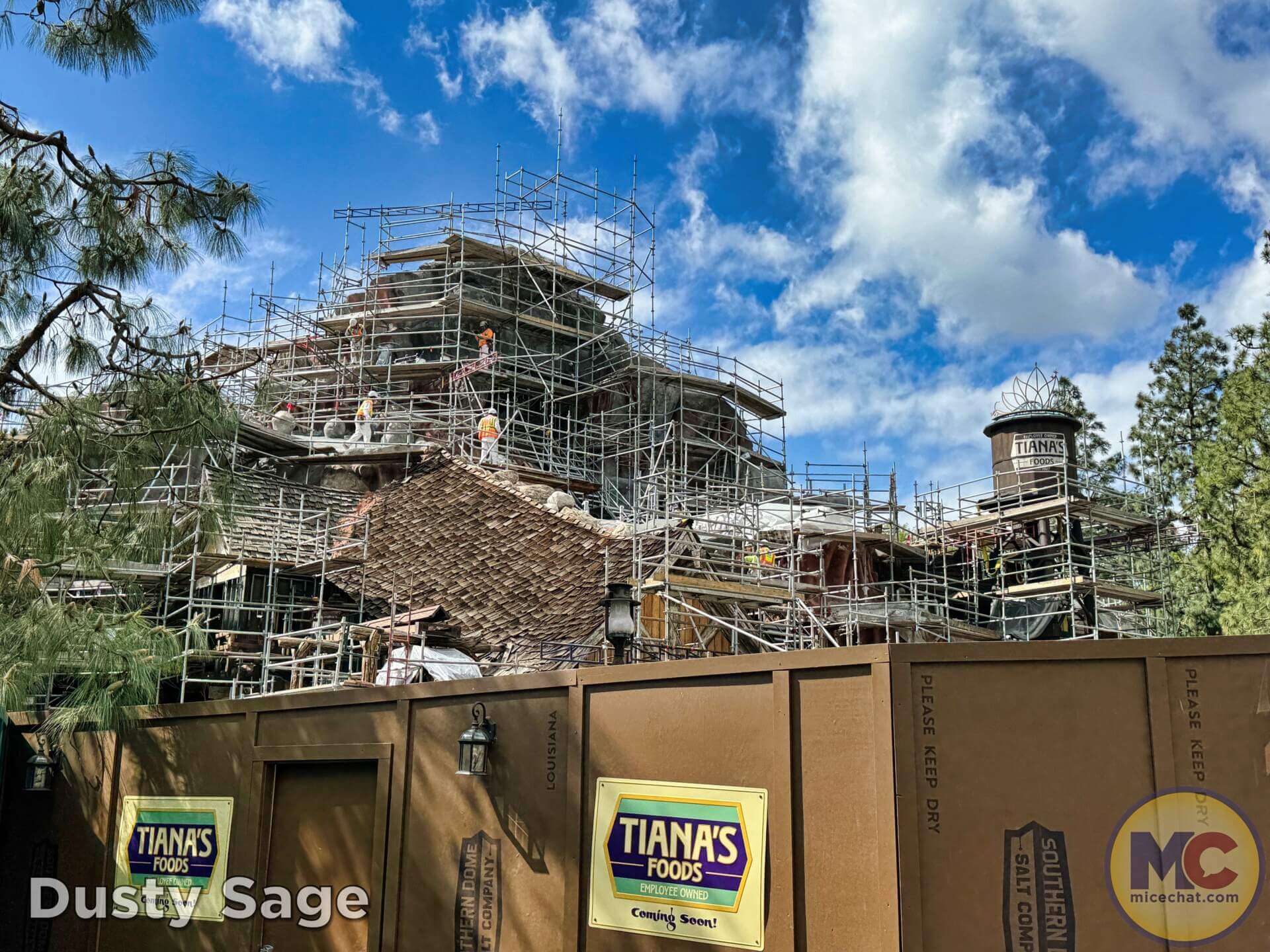 , DISNEYLAND UPDATE: Balancing Magic with Reality – Spring Surprises & Disappointments