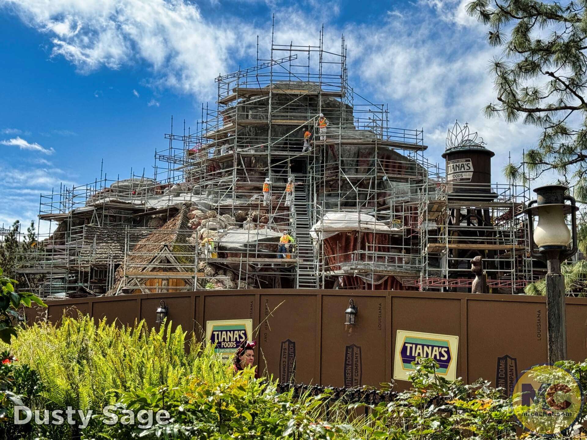 , DISNEYLAND UPDATE: Balancing Magic with Reality – Spring Surprises & Disappointments