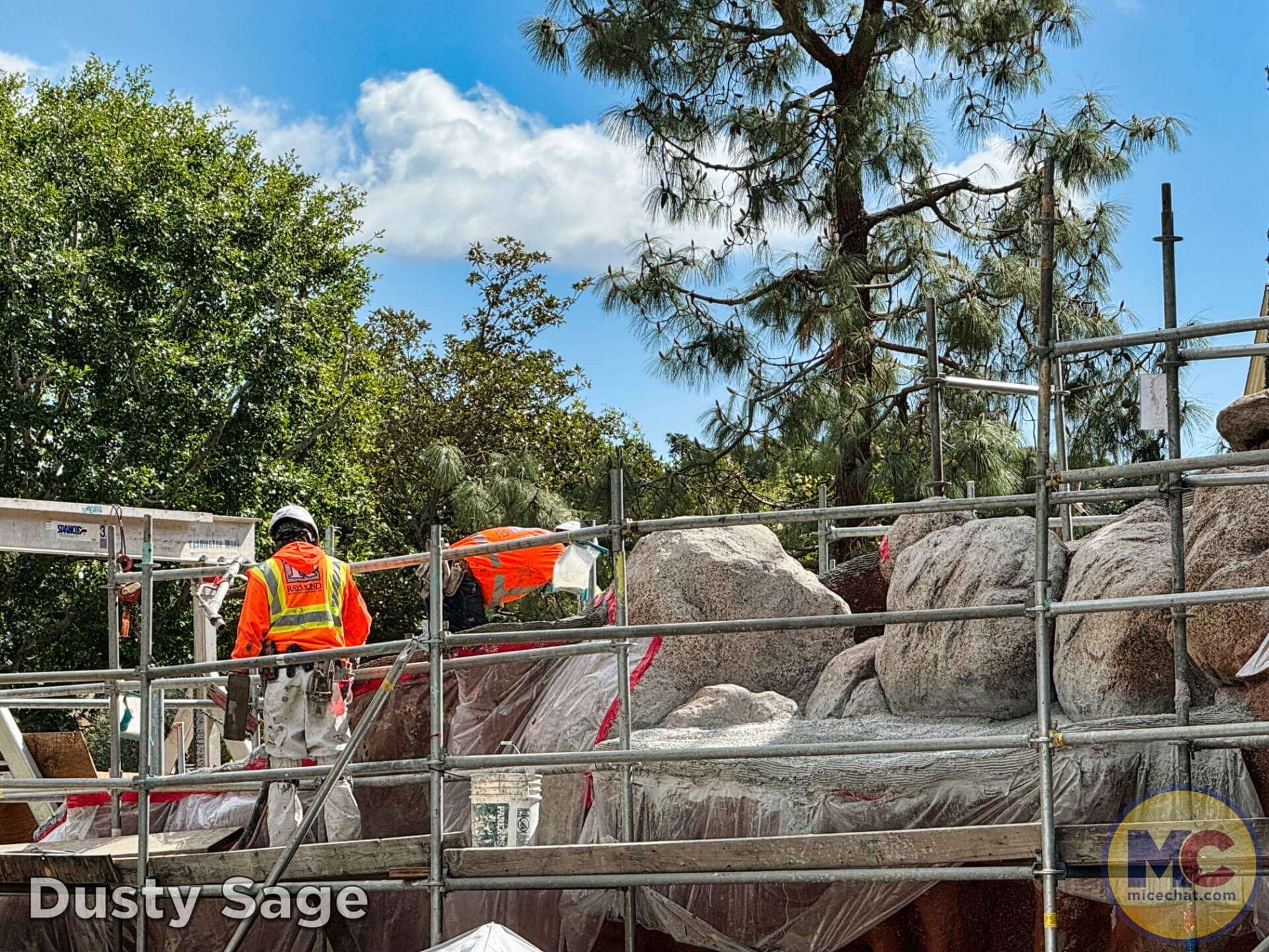 , DISNEYLAND UPDATE: Balancing Magic with Reality – Spring Surprises & Disappointments