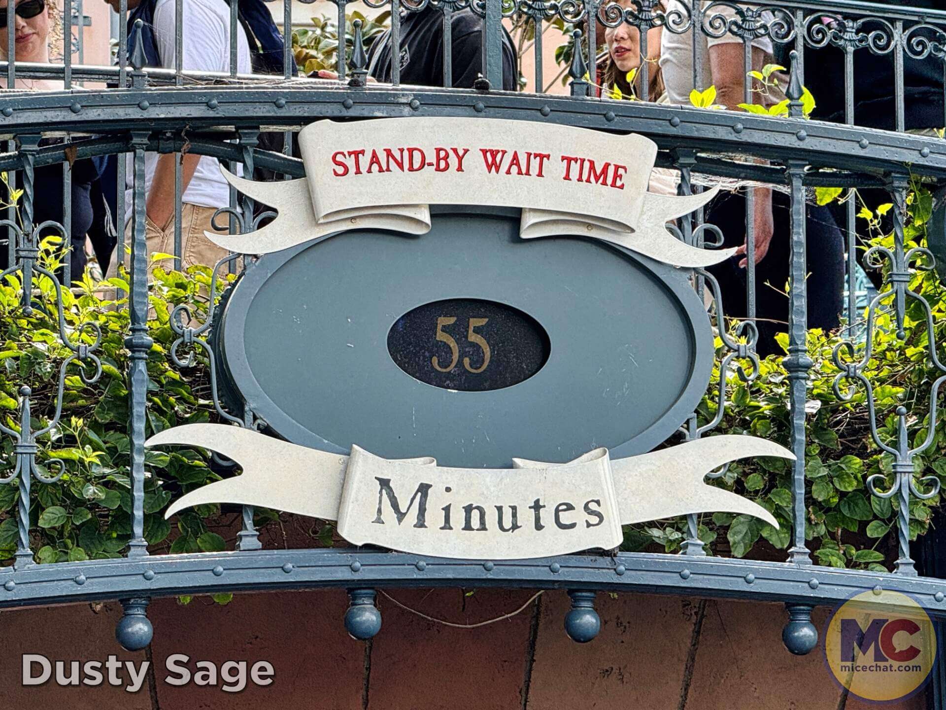 , DISNEYLAND UPDATE: Balancing Magic with Reality – Spring Surprises & Disappointments