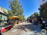 Disneyland-News-Avatar DCA Grizzly Overview- MiceChat